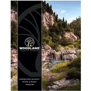 XLITWSCATALOG Woodland Scenics Catalogue 2019 (image for) XLITWSCATALOG Woodland Scenics Catalogue 2019